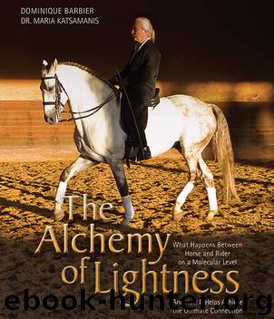 The Alchemy of Lightness by Dominique Barbier
