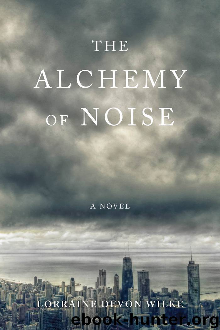 The Alchemy of Noise by Lorraine Devon Wilke