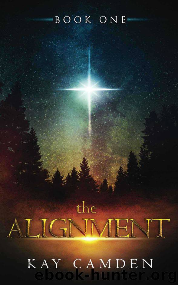 The Alignment by Kay Camden