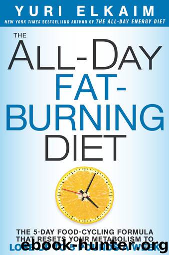 The All-Day Fat-Burning Diet by Yuri Elkaim