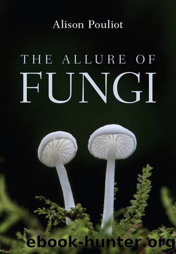 The Allure of Fungi by Alison Pouliot