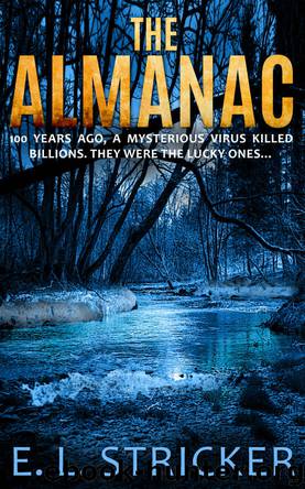 The Almanac by E L Stricker