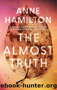 The Almost Truth by Anne Hamilton