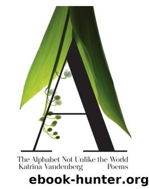 The Alphabet Not Unlike the World by Katrina Vandenberg