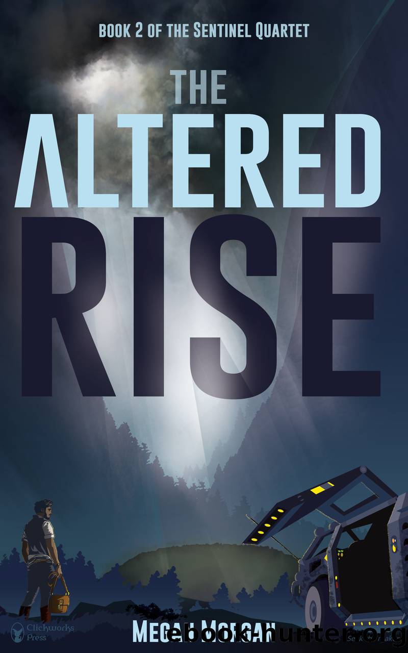 The Altered Rise by Megan Morgan