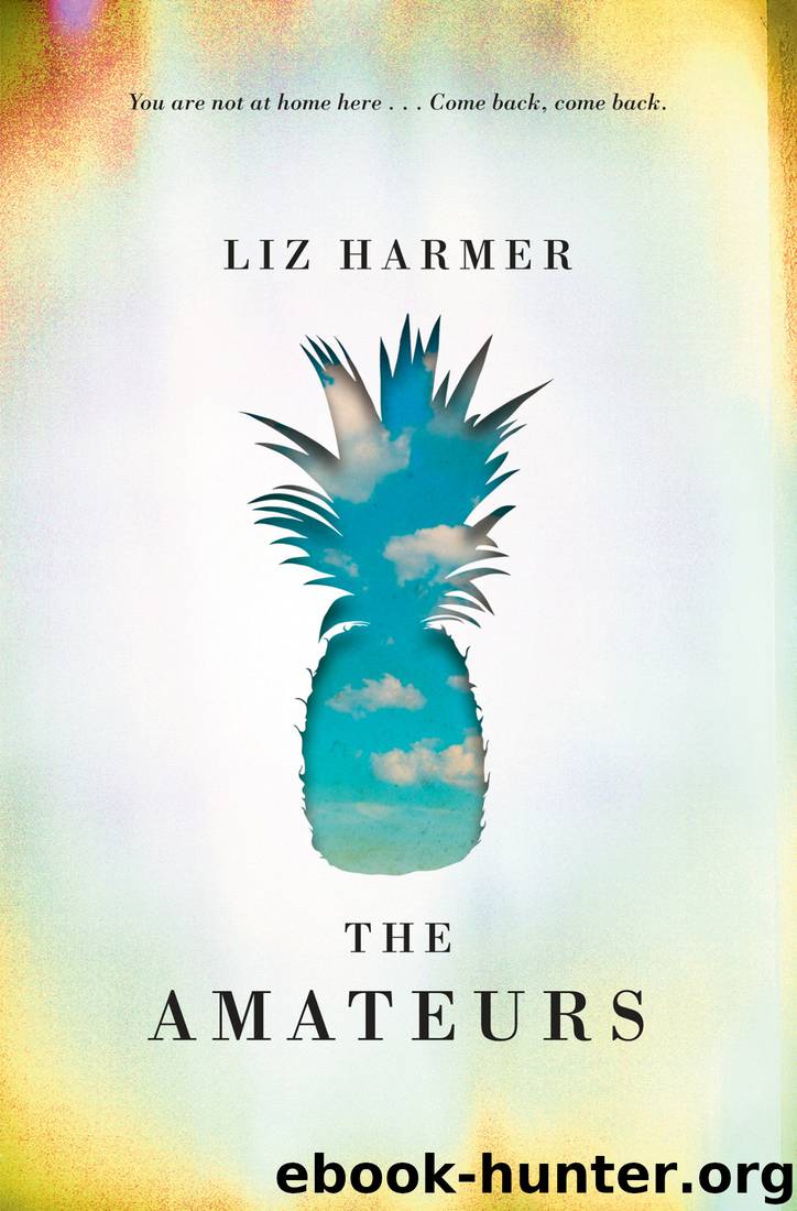 The Amateurs by Liz Harmer