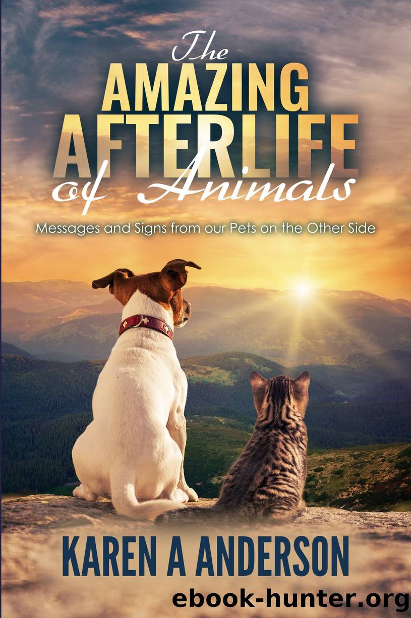 The Amazing Afterlife of Animals by Karen A. Anderson