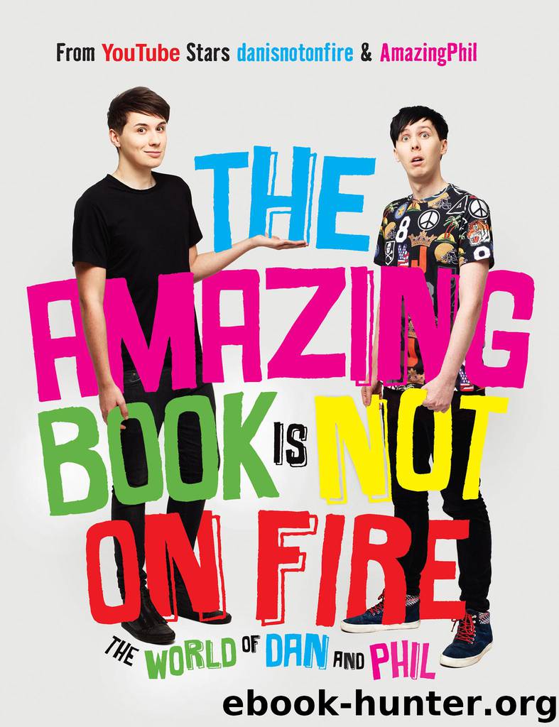 The Amazing Book Is Not on Fire by Howell Dan & Lester Phil