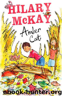 The Amber Cat by Hilary McKay