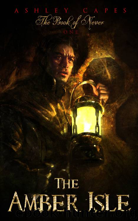 The Amber Isle: Book of Never by Ashley Capes