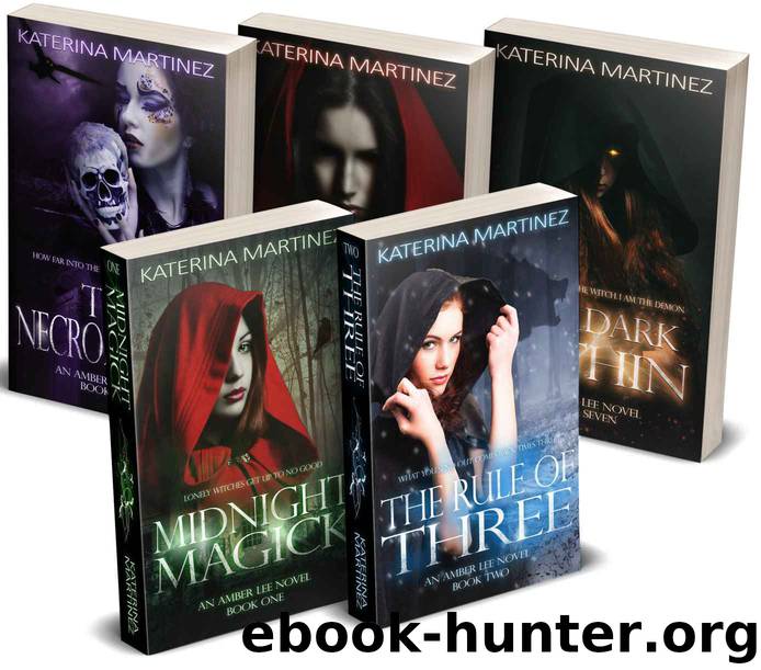 The Amber Lee Series Novel Collection: A Collection of Urban Fantasy Novels (Amber Lee Mysteries) by Katerina Martinez