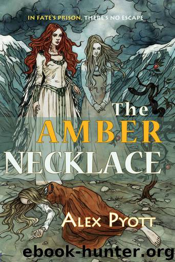 The Amber Necklace by Alex Pyott