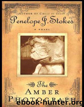 The Amber Photograph by Penelope J. Stokes