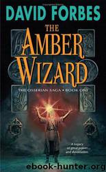 The Amber Wizard by David Forbes