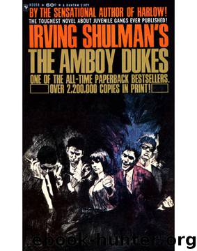 The Amboy Dukes by Irving Shulman