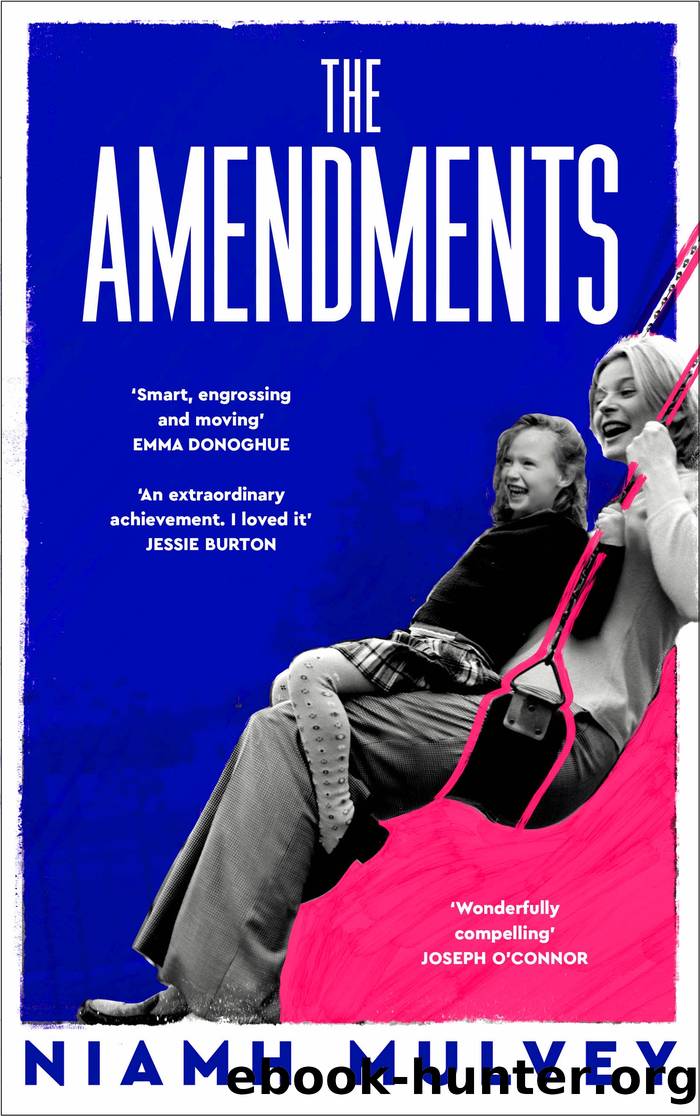 The Amendments by Niamh Mulvey