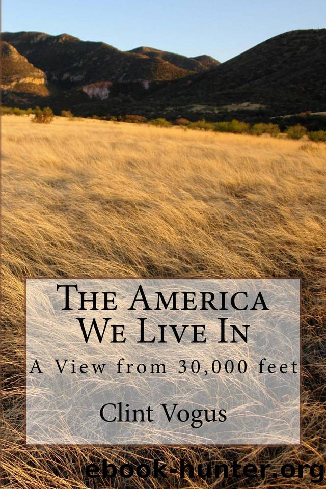 The America We Live In-A View from 30,000 feet by Vogus Clint
