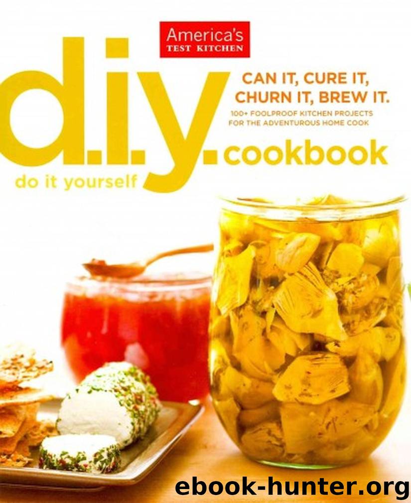 The America's Test Kitchen Do-It-Yourself Cookbook: 100+ Foolproof Kitchen Projects for the Adventurous Home Cook by America's Test Kitchen