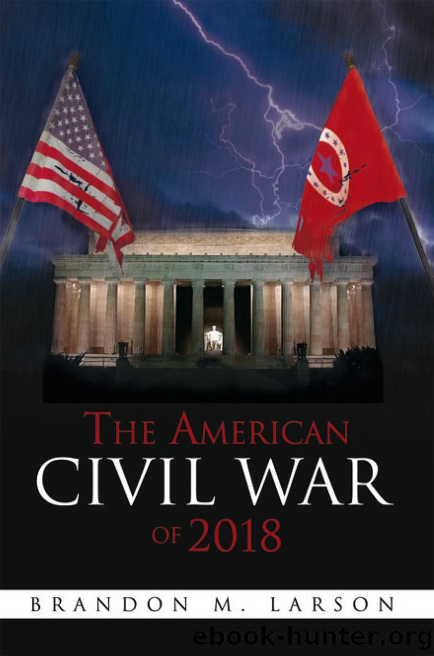 The American Civil War of 2018 by brandon m. larson