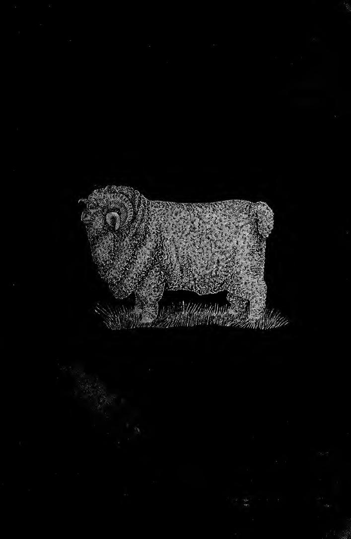 The American merino: for wool and for mutton. A practical treatise on the selection, care, breeding and diseases of the merino sheep in all sections of the United States by Powers Stephen