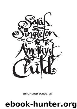 The Amethyst Child by Sarah Singleton