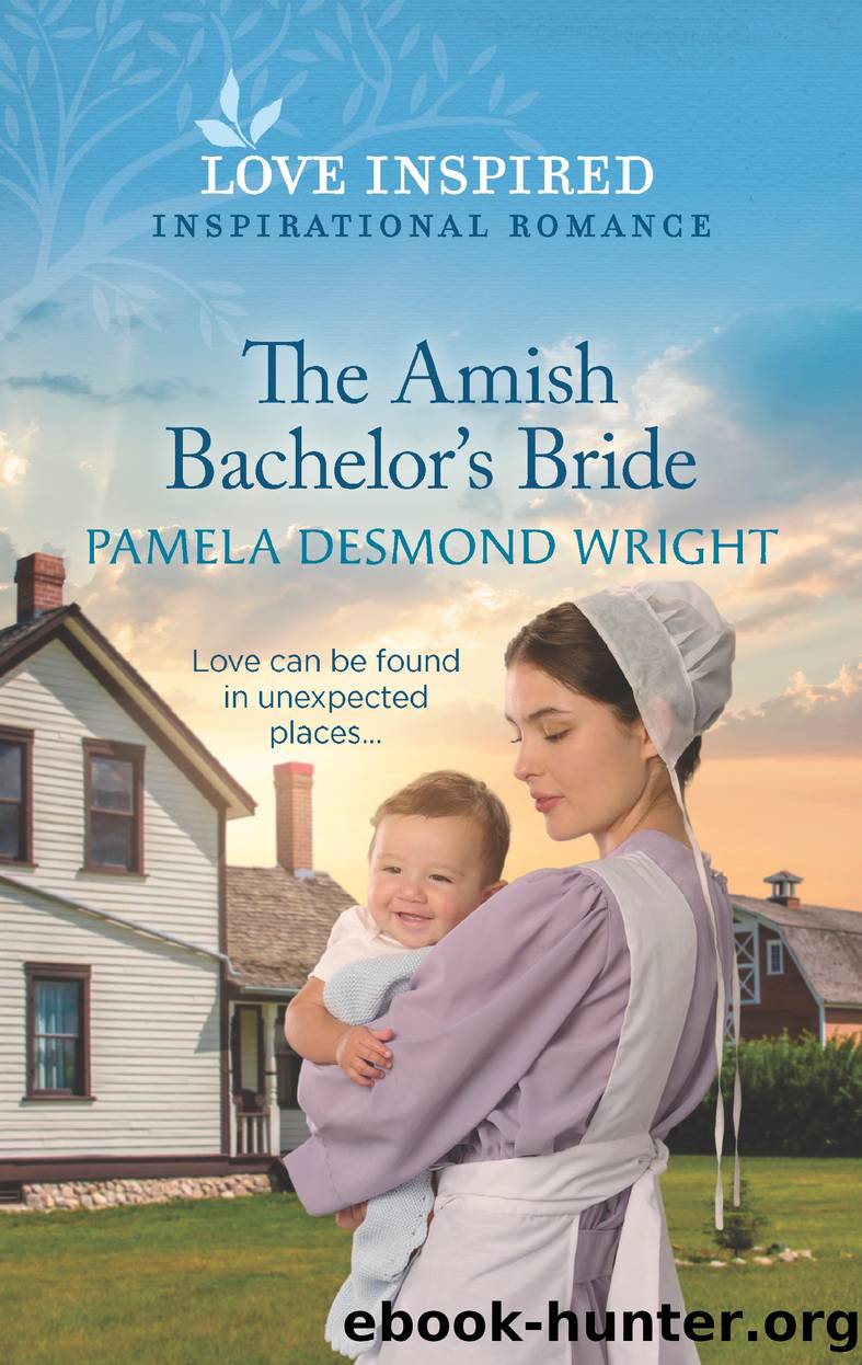 The Amish Bachelor's Bride by Pamela Desmond Wright