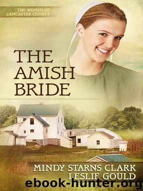 The Amish Bride by Mindy Starns Clark & Leslie Gould