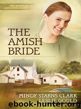 The Amish Bride by Mindy Starns Clark