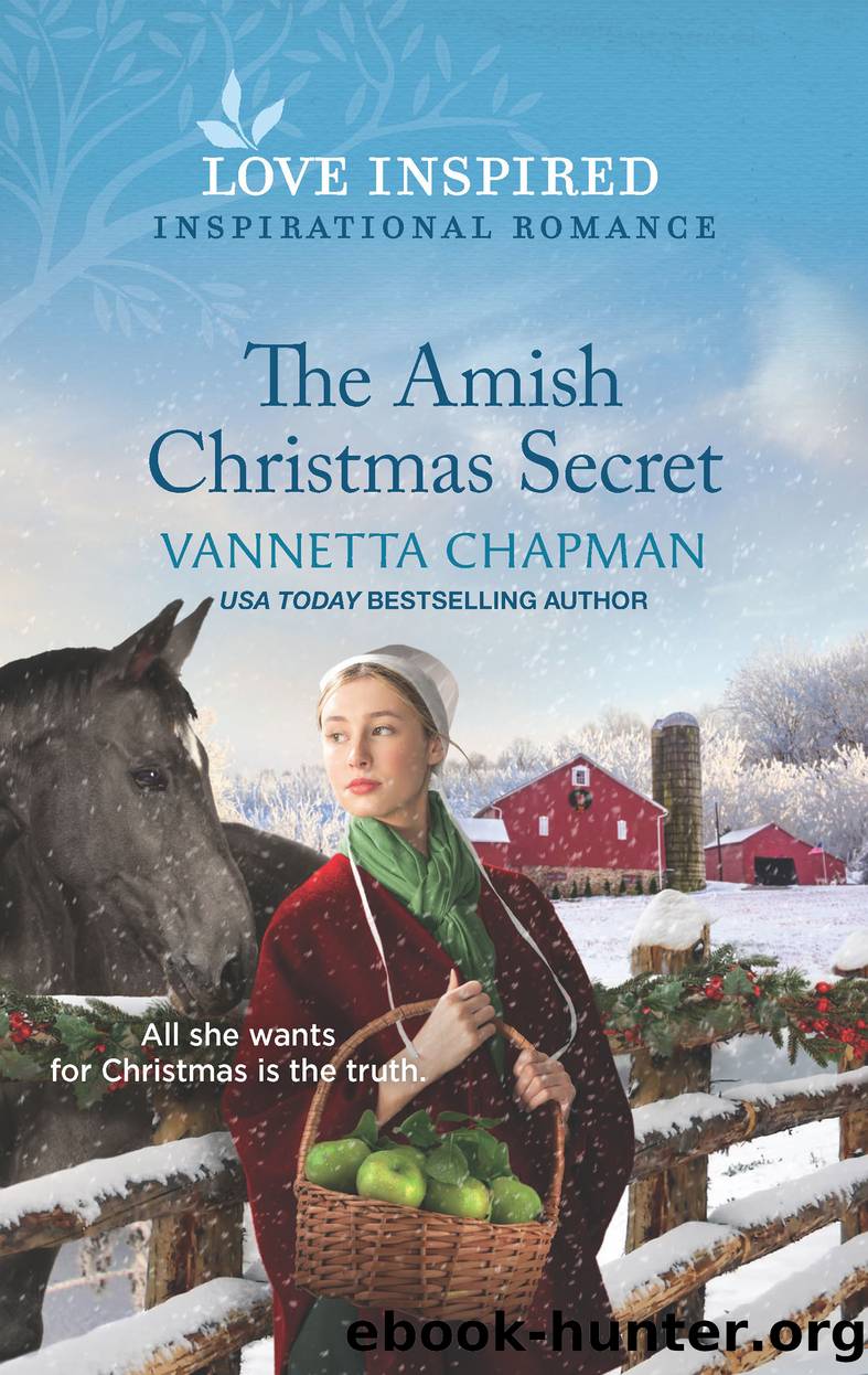 The Amish Christmas Secret by Vannetta Chapman