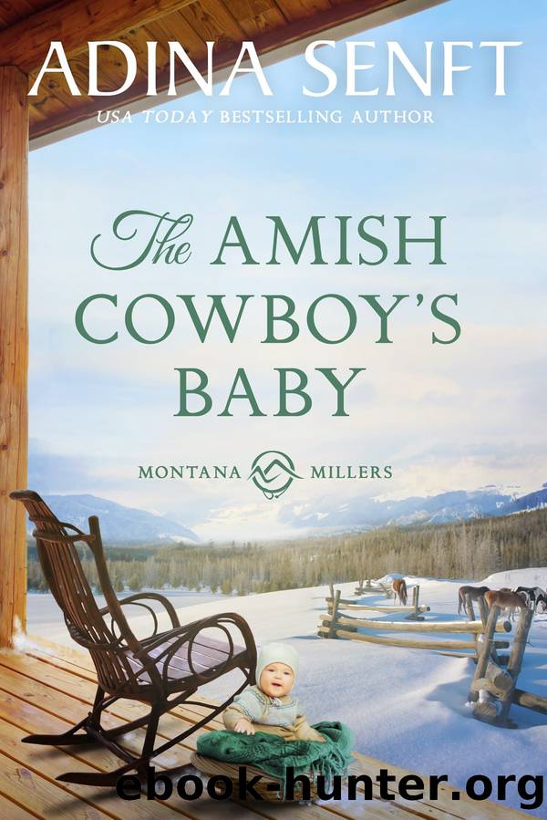 The Amish Cowboy's Baby by Adina Senft