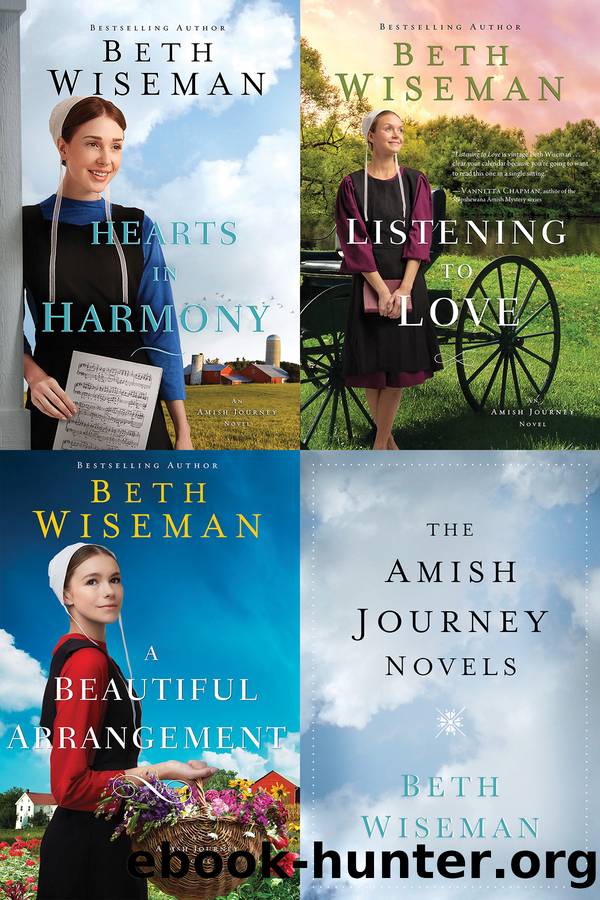 The Amish Journey Novels by Beth Wiseman