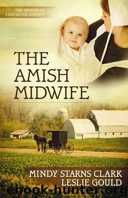 The Amish Midwife by Mindy Starns Clark
