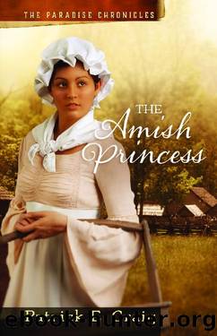 The Amish Princess by Patrick E. Craig