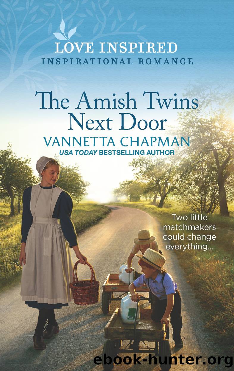 The Amish Twins Next Door by Vannetta Chapman
