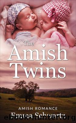 The Amish Twins by Emma Schwartz