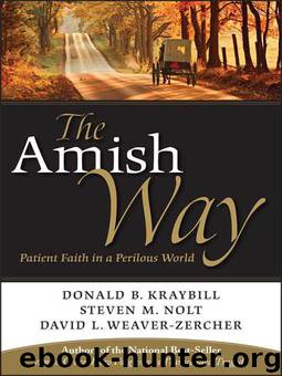 The Amish Way by Kraybill Donald B. & Nolt Steven M. & Weaver-Zercher David L