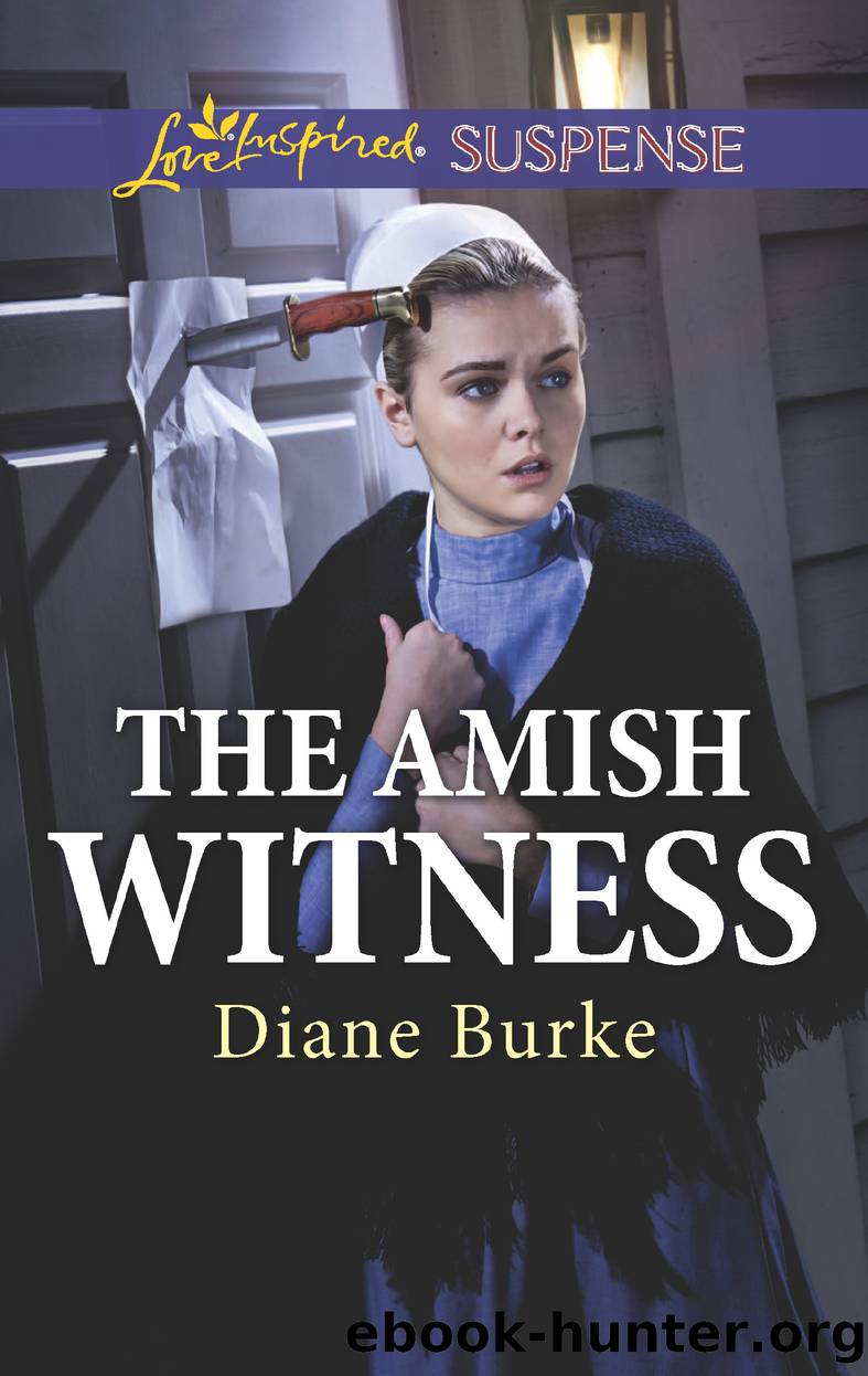 The Amish Witness by Diane Burke