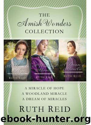 The Amish Wonders Collection by Ruth Reid