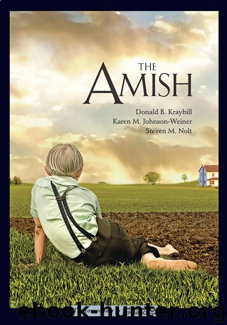 The Amish by Donald B. Kraybill