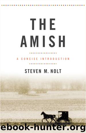 The Amish by Steven M. Nolt