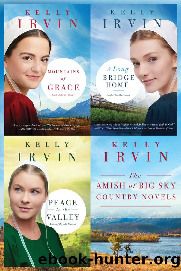 The Amish of Big Sky Country Novels by Kelly Irvin