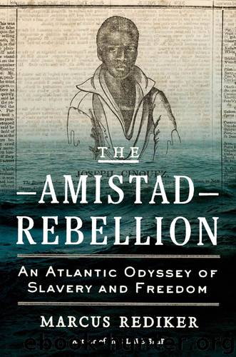 The Amistad Rebellion by Marcus Rediker