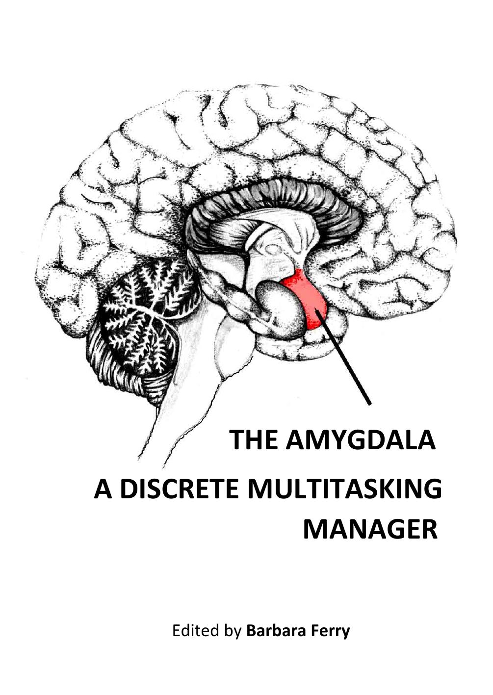 The Amygdala - A Discrete Multitasking Manager by Barbara Ferry