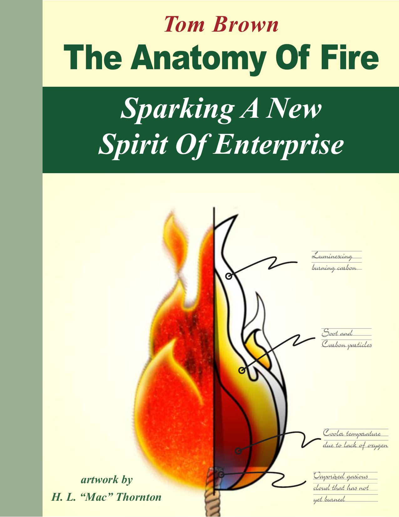 The Anatomy Of Fire - Sparking A New Spirit Of Enterprise -- Leadership In The 21st Century by Thomas L. Brown