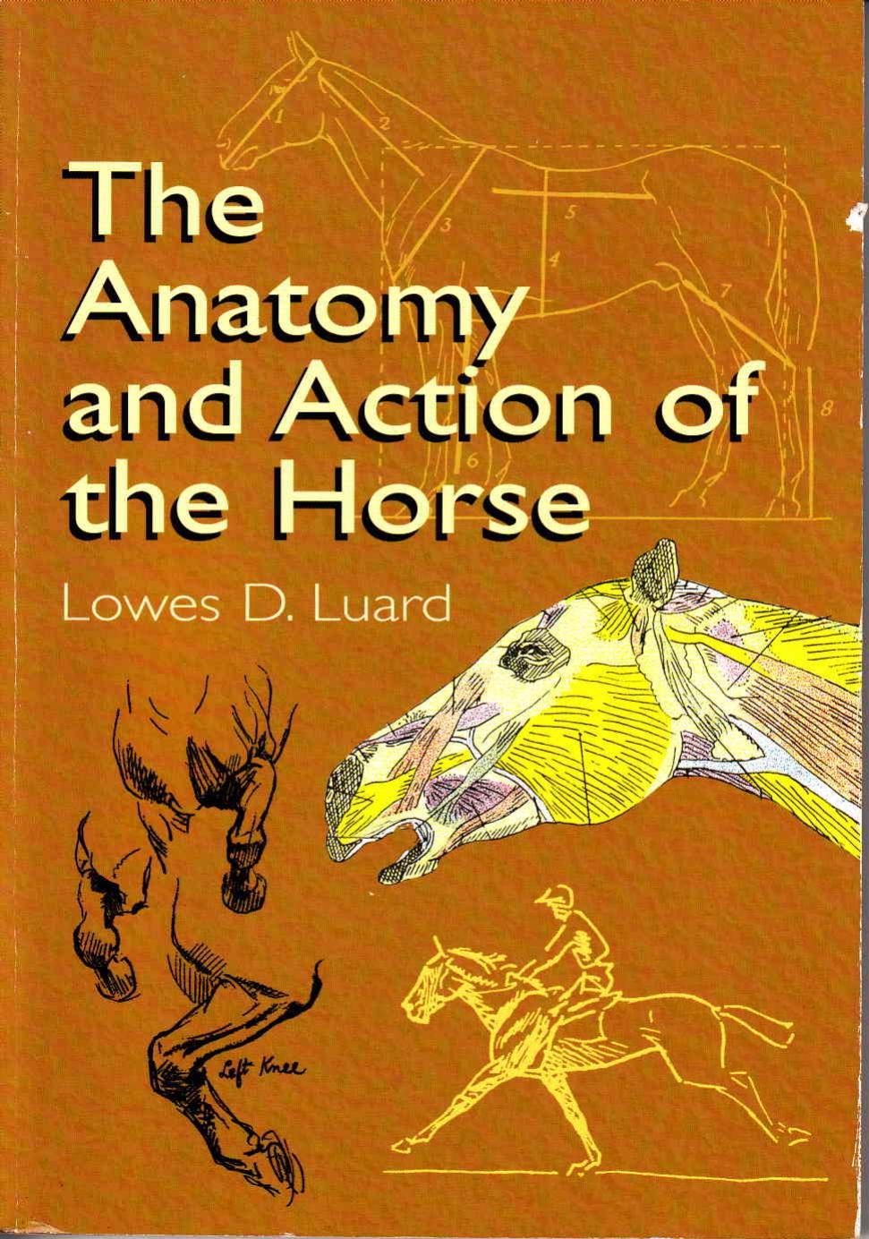 The Anatomy and Action of the Horse by Lowes Dalbiac Luard