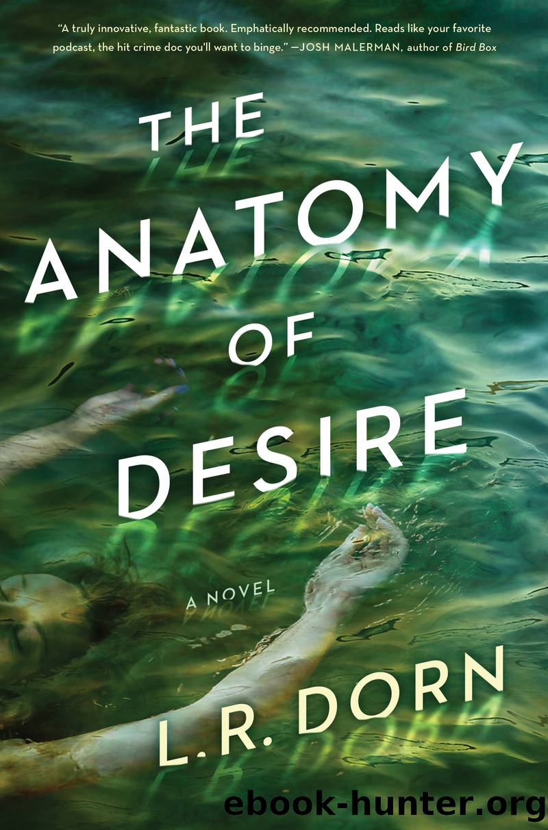 The Anatomy of Desire by L. R. Dorn