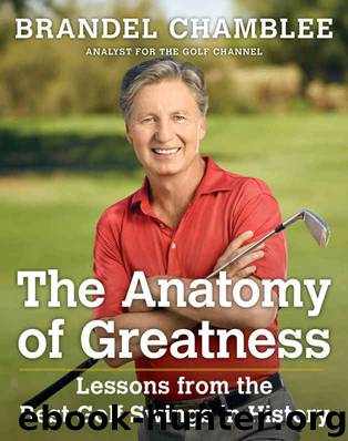 The Anatomy of Greatness: Lessons from the Best Golf Swings in History by Brandel Chamblee
