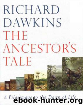 The Ancestor's Tale : A Pilgrimage to the Dawn of Evolution by Richard Dawkins