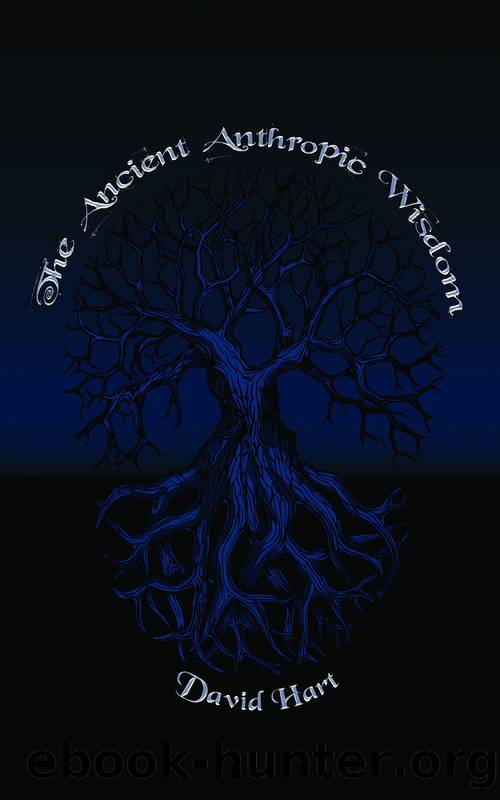 The Ancient Anthropic Wisdom by Hart David;