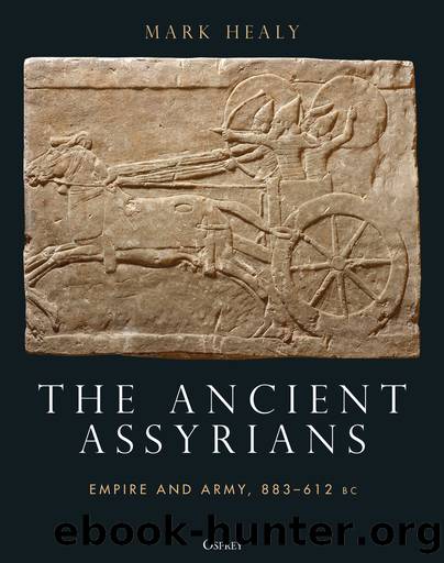 The Ancient Assyrians by Mark Healy;